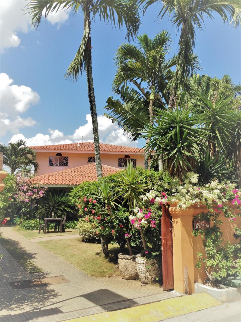 Casa Felicita B&B Y Apartamentos Bayahibe Extérieur photo